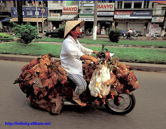 Fun pics - motorcycles in china