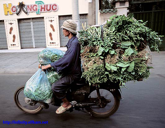 Fun pics - motorcycles in china