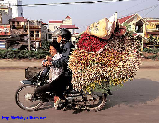 Fun pics - motorcycles in china