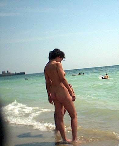 The naked beach 354 