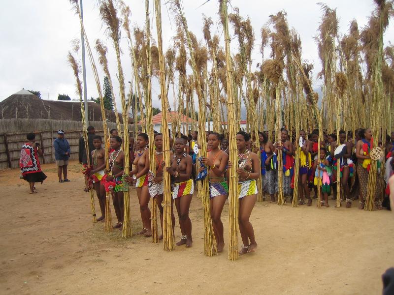 Reed dance