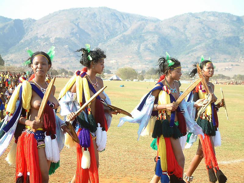 Reed dance