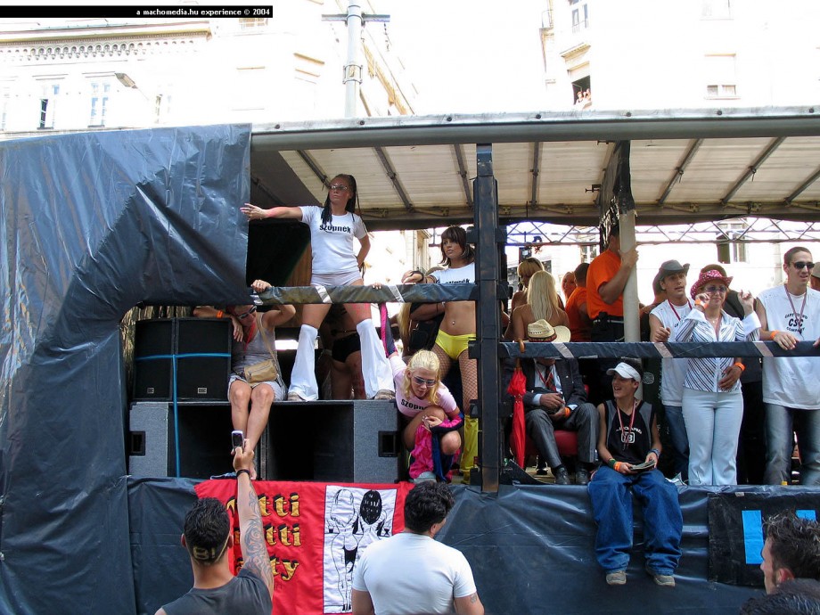 Budapest parade - public party flashing