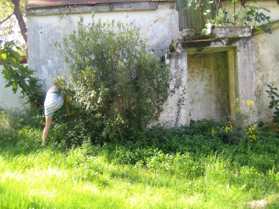 Blond pose in ruins