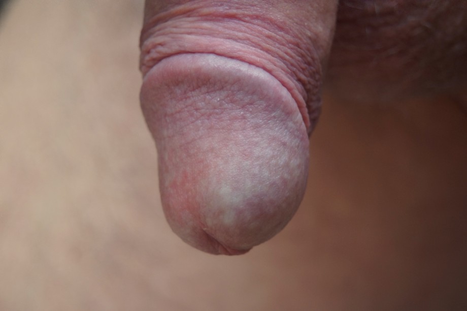 Amateur male dick at rest