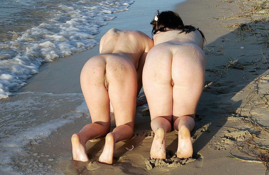Hungry pussies on the beach - a selection