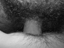 Hairy amateur couple set fuck -59521 28/45