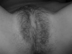 Hairy amateur couple set fuck -59521 31/45