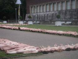 Spencer tunick : thousand of nude people in city 25/41
