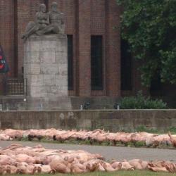 Spencer tunick : thousand of nude people in city 34/41