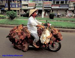 Fun pics - motorcycles in china 3/16