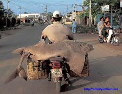 Fun pics - motorcycles in china 6/16