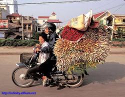 Fun pics - motorcycles in china 13/16