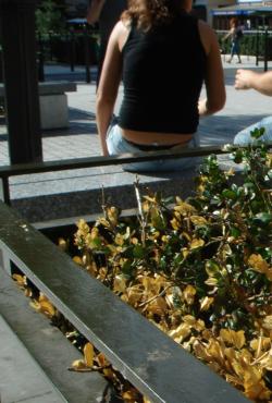Candid voyeur teens outdoor street pics 41/53