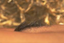 Pussy close-up collection 003 19/21