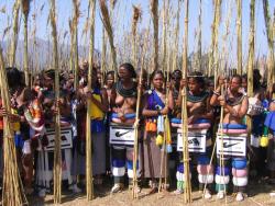 Reed dance 5/21