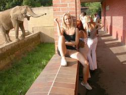 Young blonde girl and her exhibition  from the zoo 5/17