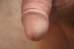 Amateur male dick at rest 1/9