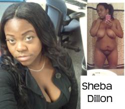 Sheba dillon 8/18