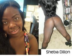 Sheba dillon 18/18