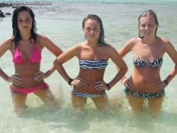Sophie and friends 3/41