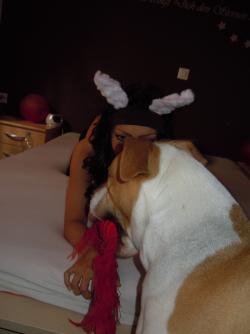 Photo 29