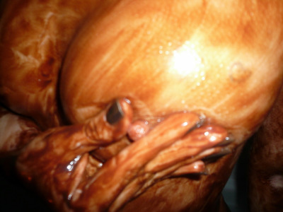Photo 50