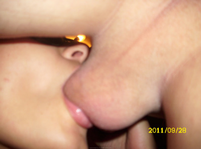 Photo 81