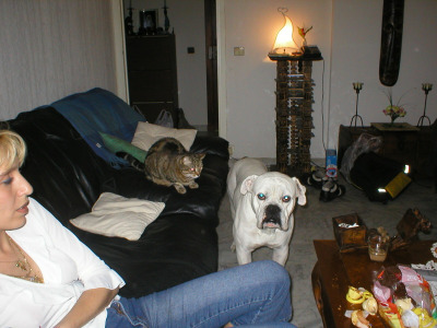 Photo 50