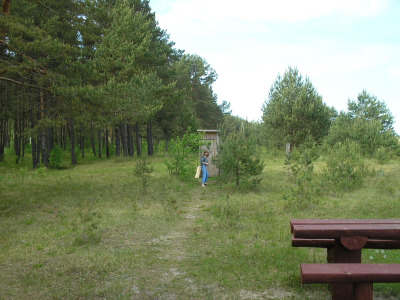 Photo 40
