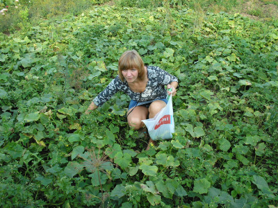 Photo 54