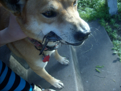 Photo 25