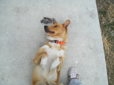 Photo 42