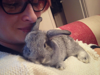 Photo 211