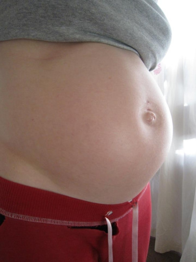 Photo 228