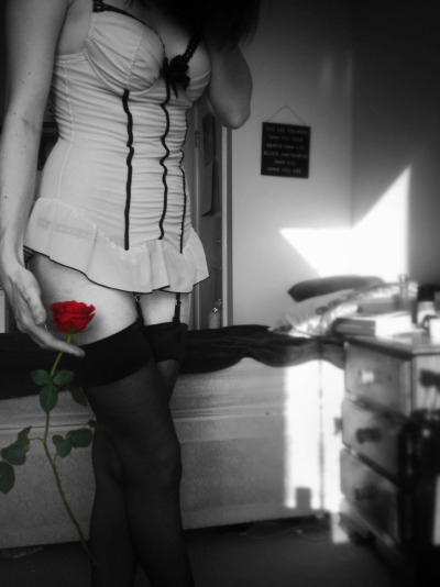 Photo 263